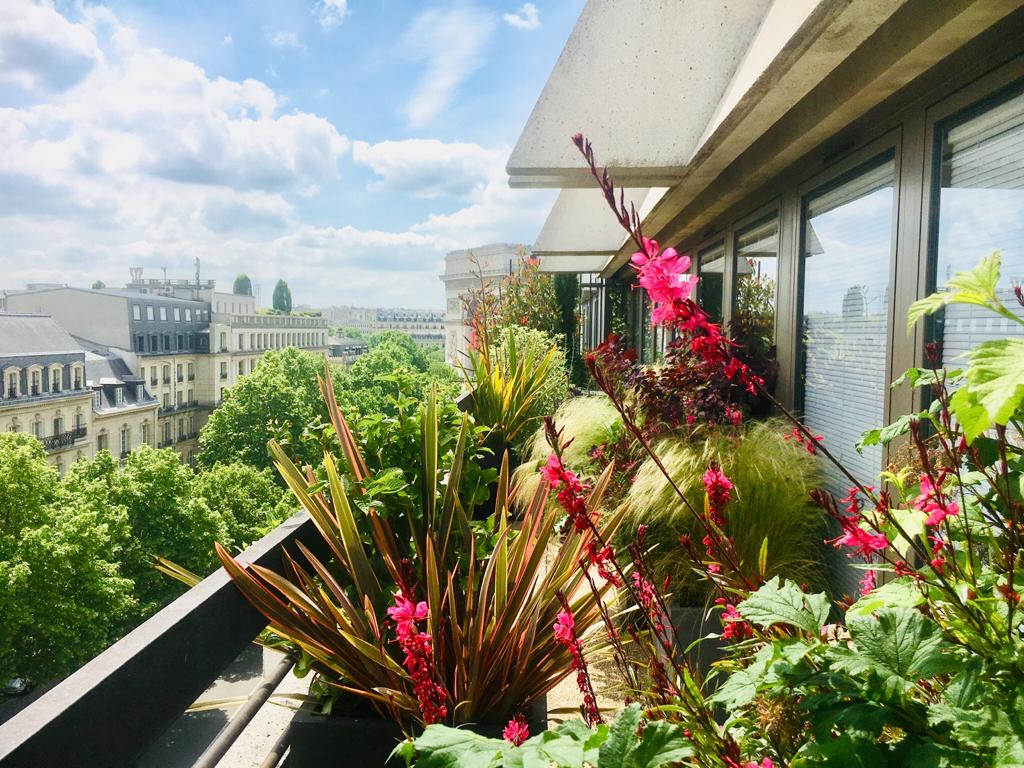 Petite terrasse parisienne